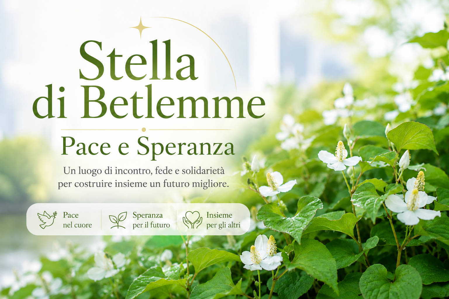 Che la luce di Betlemme porti pace a chi cerca, speranza a chi è nel cammino e una nuova luce a chi guarda verso il futu